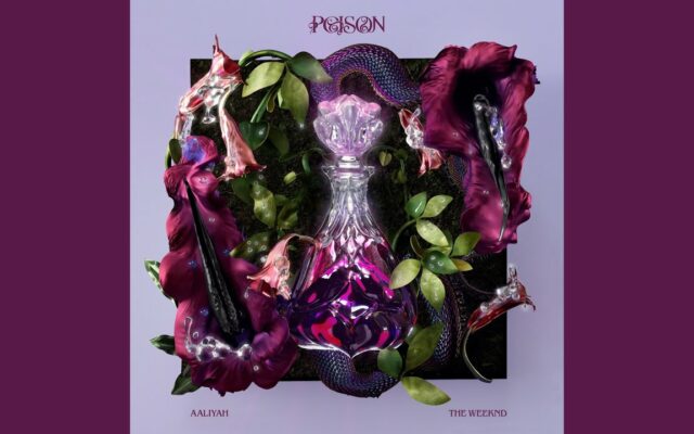 New Music Alert! Aaliyah and The Weekend- Poison